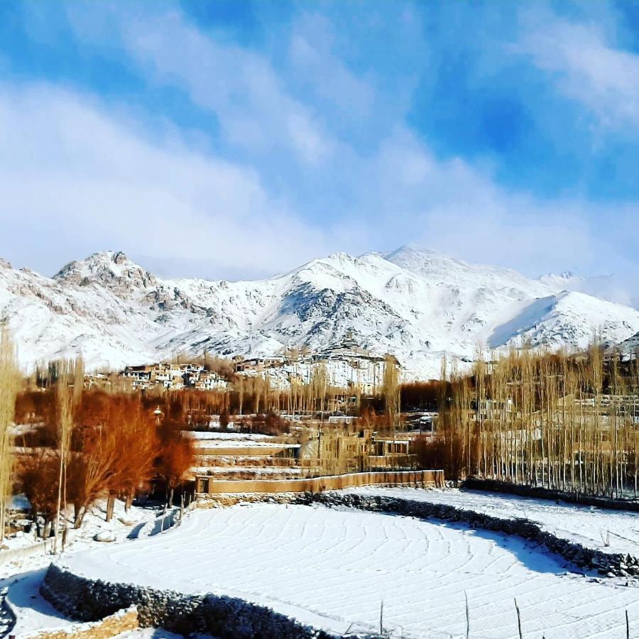 Ladakh Country Inn Лех Екстер'єр фото